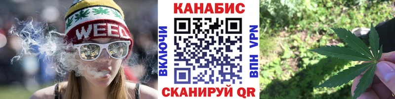 Галлюциногенные грибы Бородино