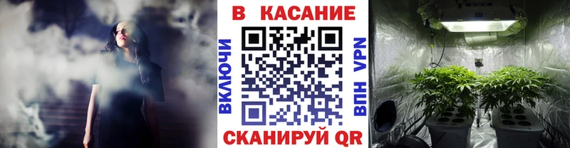 Где можно купить наркотики Бородино МЕГА ссылка  Cocaine  ГЕРОИН  Меф  ГАШ  СОЛЬ  МАРИХУАНА 