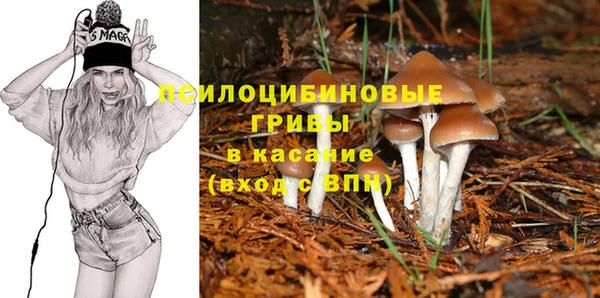 героин Богородицк