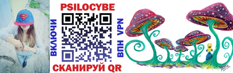 OMG онион  Бородино  Псилоцибиновые грибы мухоморы 